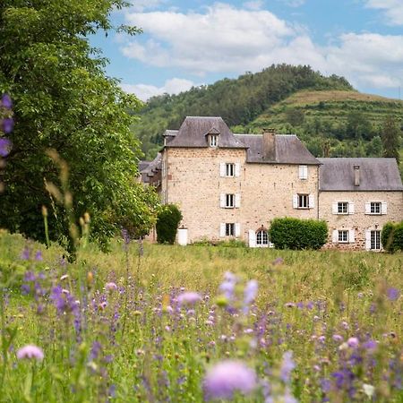 La Demeure Du Comte Bed & Breakfast Marcillac-Vallon Exterior photo