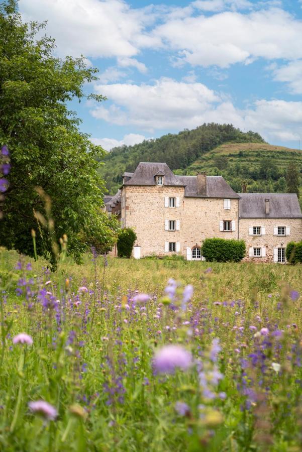 La Demeure Du Comte Bed & Breakfast Marcillac-Vallon Exterior photo